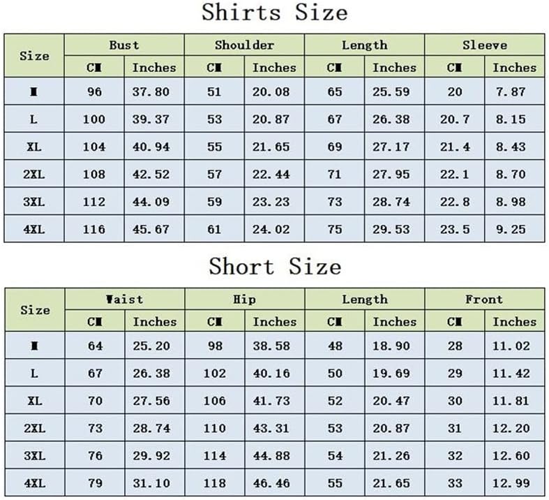 SCDZS erkek Yaz Eşofman Spor Kısa Kollu T Shirt + Kısa İki Parçalı Setleri Erkek Rahat spor takımları (Renk: A, Boyut: Lcode)