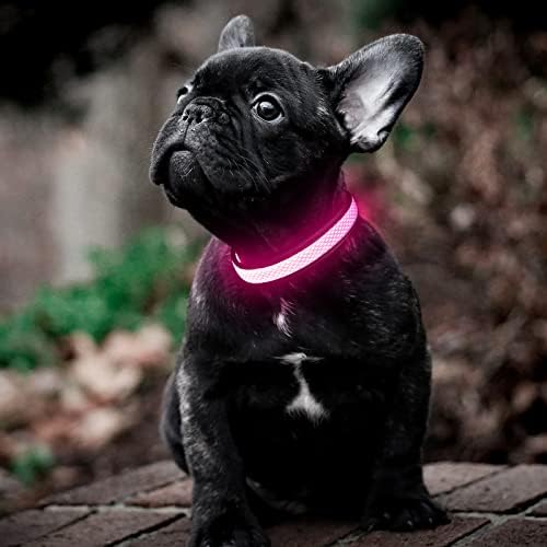 Illumifun Yansıtıcı LED köpek tasması USB Şarj Edilebilir ışıklı köpek tasmaları Köpeğinizin Geceleri Görülmesini ve Güvende