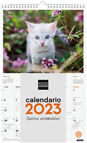 Finocam - Takvim 2023 Yazmak için Spiral Duvar Resimleri Ocak 2023-Aralık 2023 (12 ay) Yavru Kedi İspanyolcası