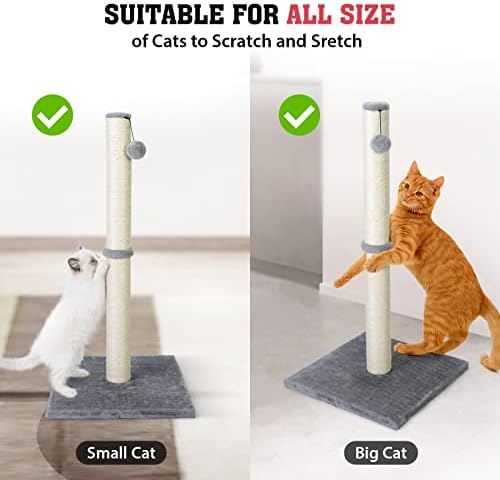 petellow 31 Uzun Boylu Kedi tırmalama sütunu - Asılı Top ile Kedi Pençe Scratcher-Kapalı Büyük Kediler için Tırmalama Direkleri-Sisal