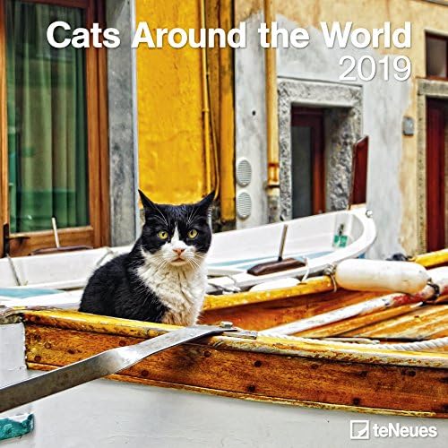 Dünyanın Dört Bir Yanındaki Kediler 2019 Broschürenkalender