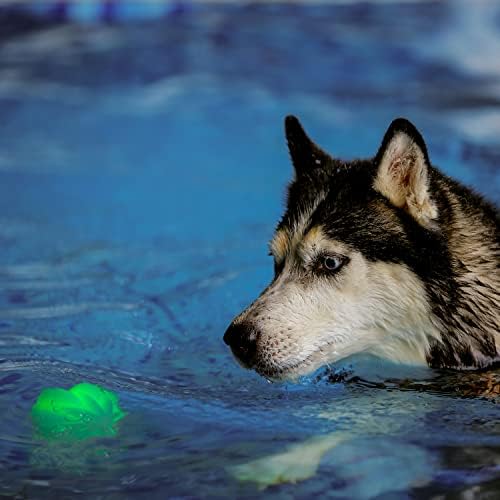 Nite Ize GlowStreak Vahşi LED Topu, Kabarık Hareket Aktif Light Up Köpek Topu Yüksek Enerjili Köpekler için, Disk-O