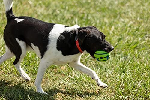 Hank Adında bir Köpek Küçük Evcil Köpekler Oyun Topu Eğitim Güvenli Top Komik Ses Oyuncak Hediye