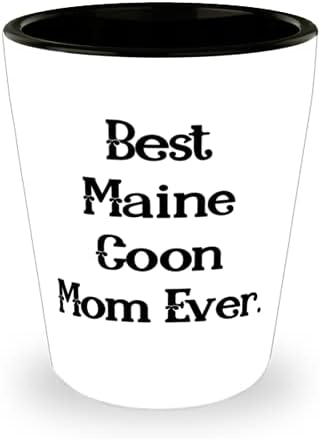 Havalı Maine Coon Kedisi, Gelmiş geçmiş en iyi Maine Coon Annesi, Arkadaşlarından Kedi Annesi için Epik Kadeh