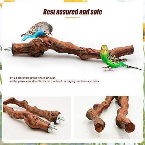 2 Paket Papağan Levrek Standı, Doğal Asma Ahşap Levrek Papağan Kafesi Levrek Oyuncaklar Küçük veya Orta Papağanlar için Uygun