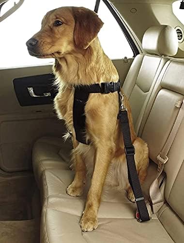 GUAGLL 3 adet Köpek Araba Emniyet Kemerleri, Ayarlanabilir Taşınabilir Köpek Kedi Araba Emniyet Kemeri Araba Evcil Hayvan